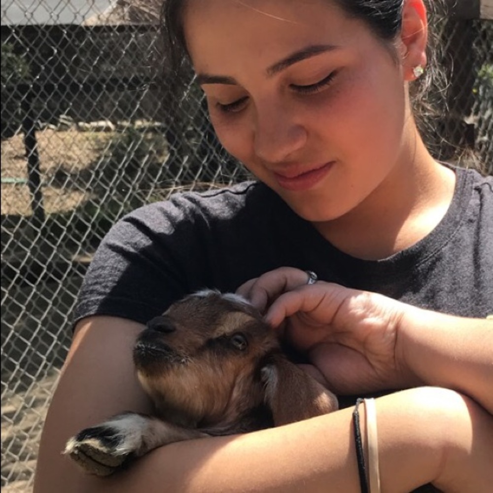 Meet your Posher, Maylin